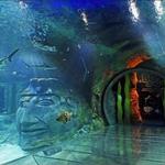 SEA LIFE Orlando Aquarium