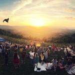 Carter Mountain Orchard
