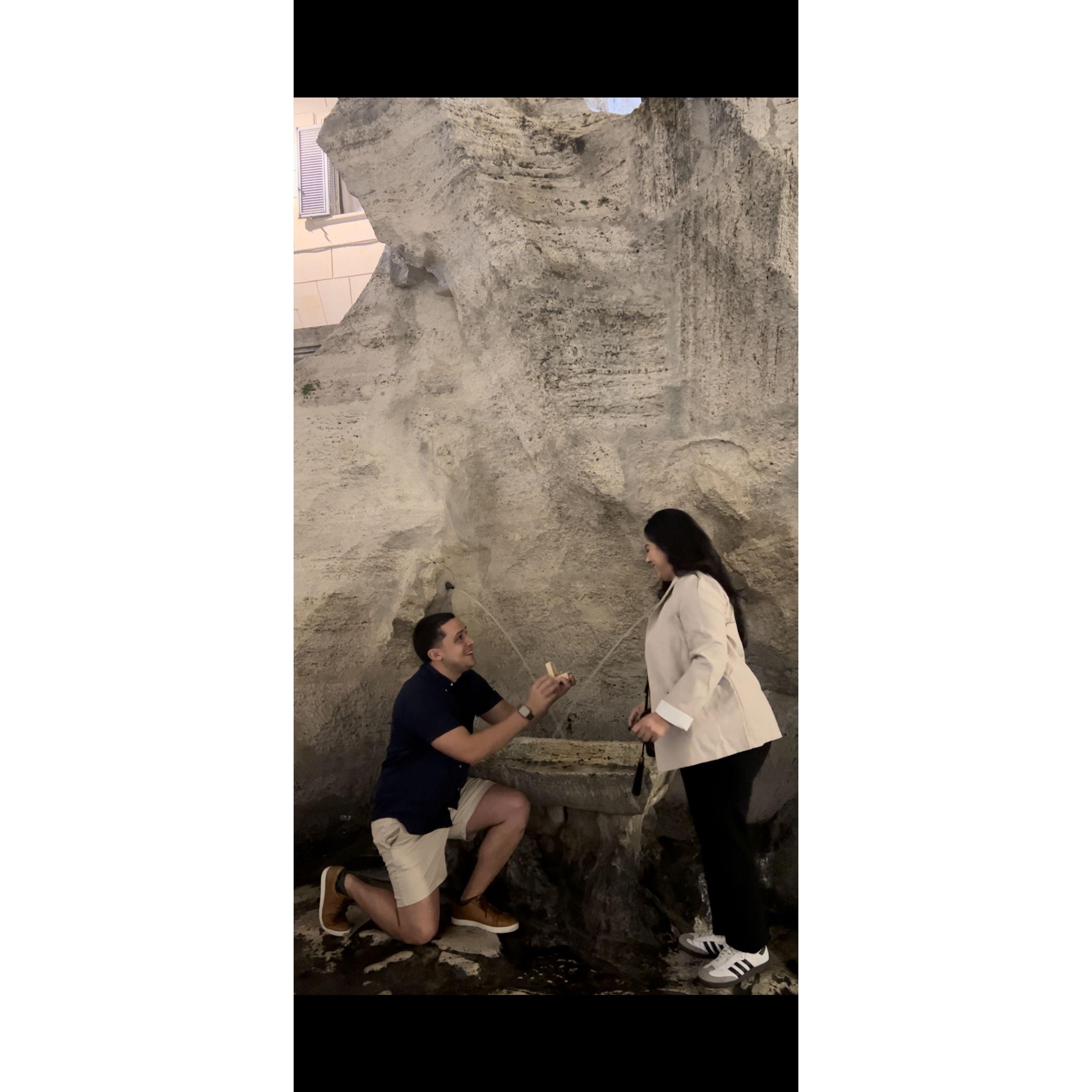 Proposal at the Trevi Fountain