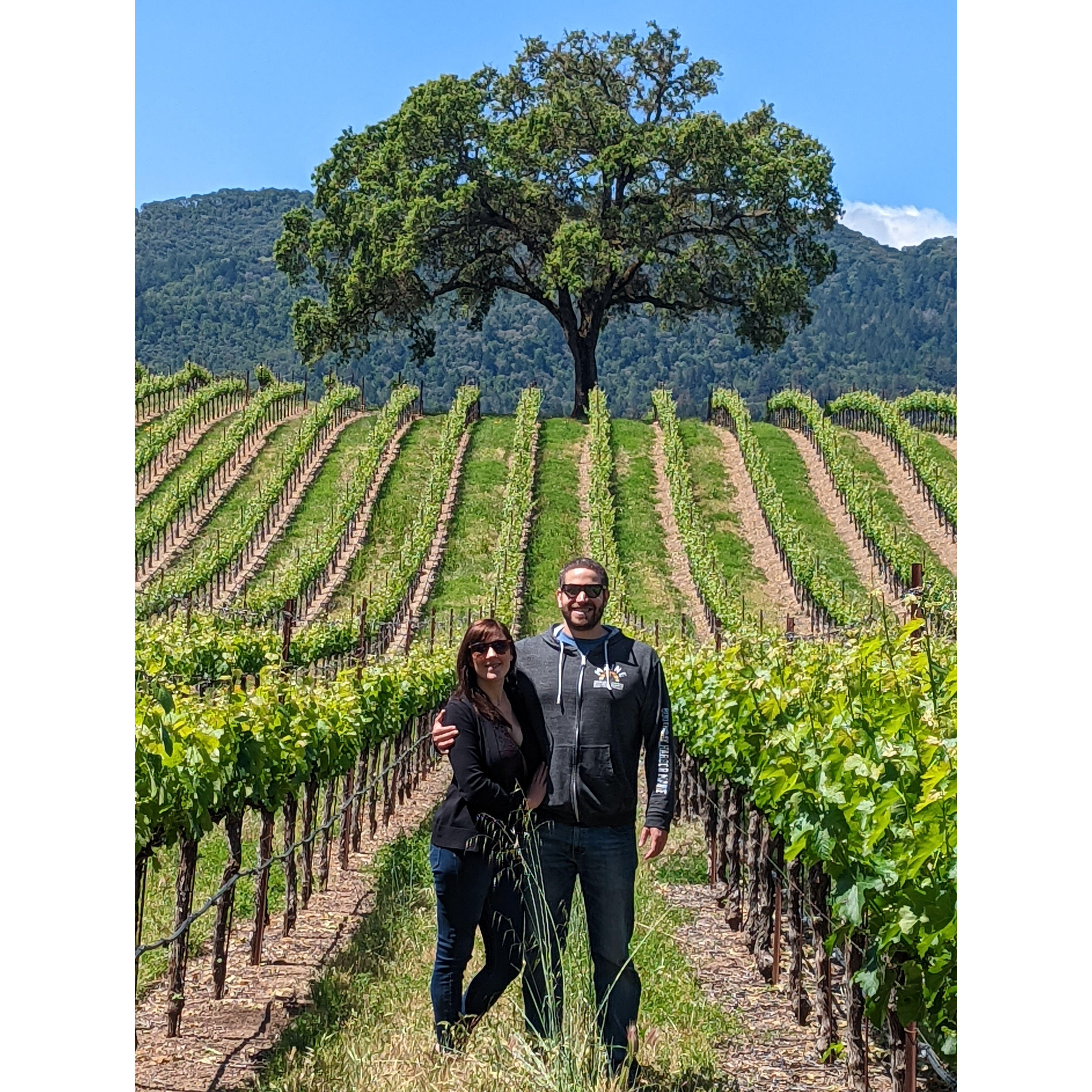 B.R. Cohn Winery. Sonoma, California. May 2022.