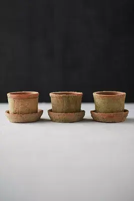 Earth Fired Clay Mini Pot + Saucer, Set of 3