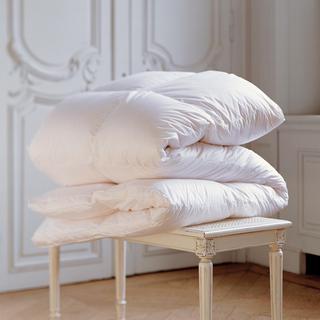 Continental Comforter