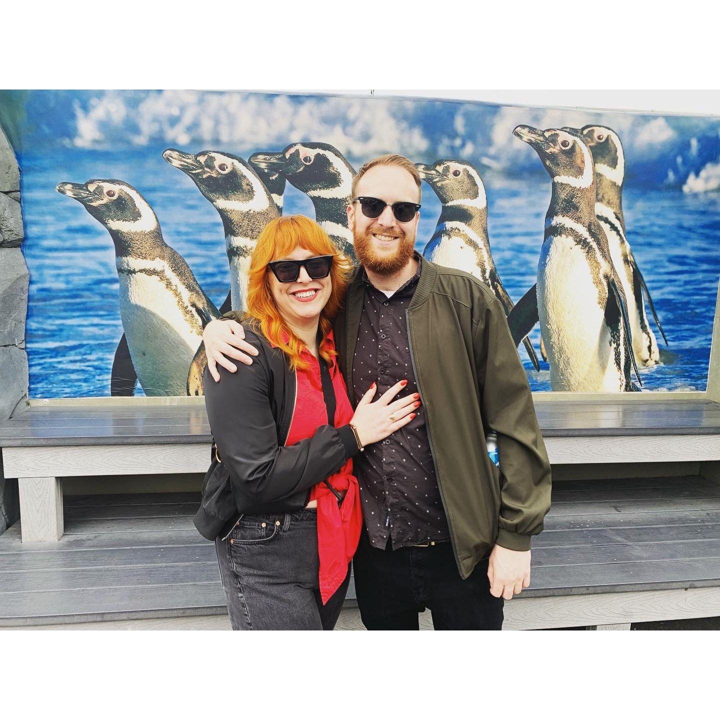 My birthday at the Aquarium- You're my penguin <3