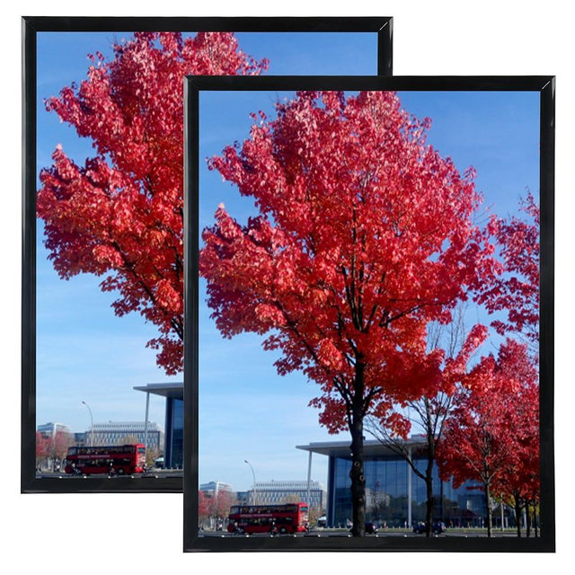 Medog 14x18 Poster Frame Black, Display Pictures 11x14 Picture Frame Set of 2,or With Mat 14x18 Poster Gallery Frame