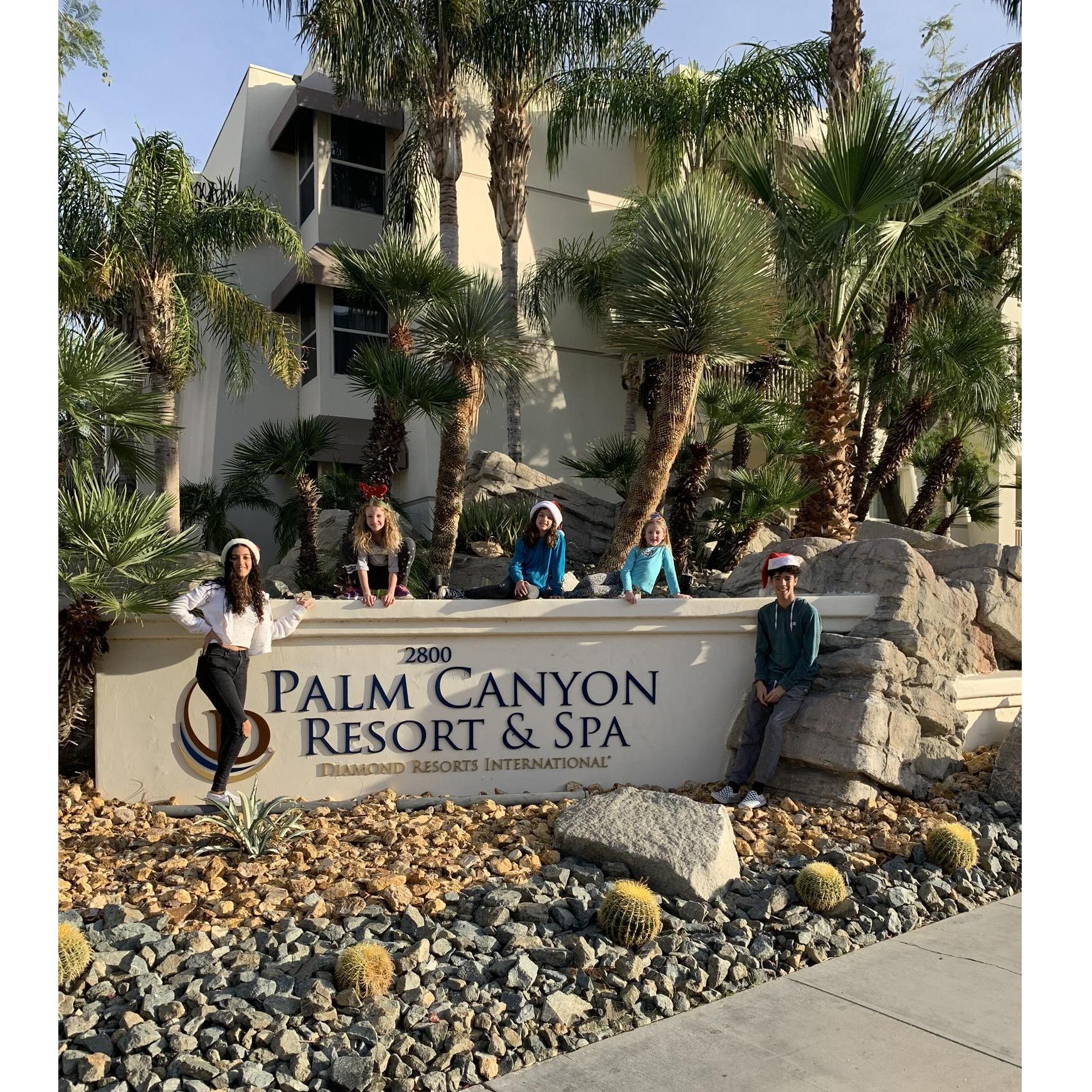 Fun in Palm Springs December 2019