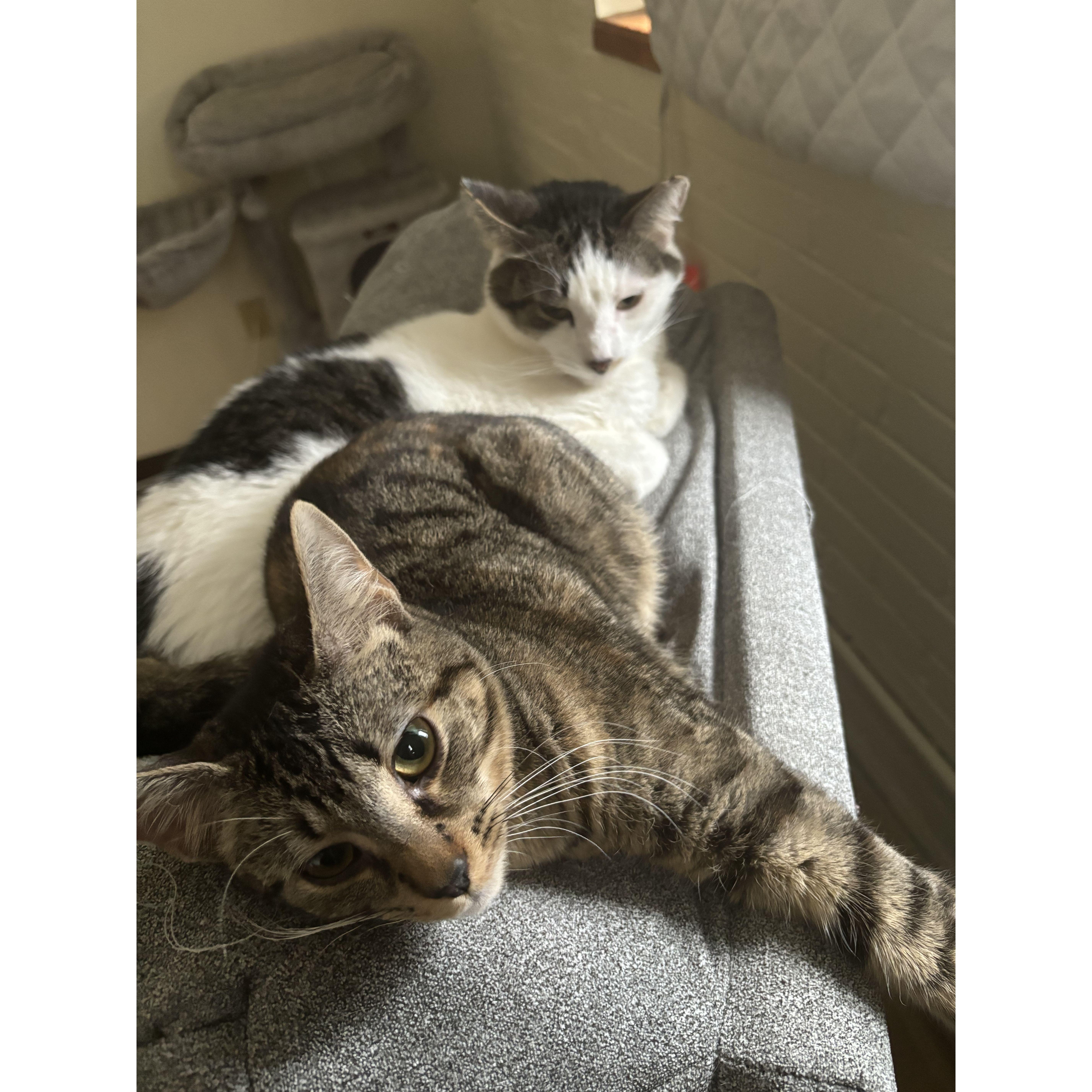 Banksy and Ella!