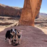 Corona Arch