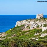 Nardò and Porto Selvaggio - Nature reserve