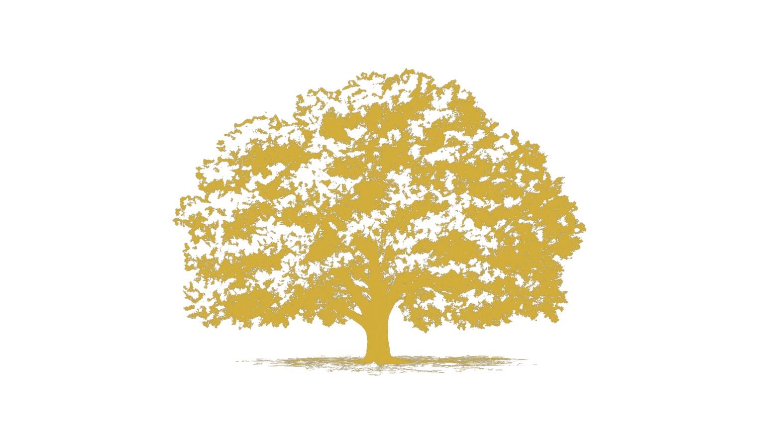 The Wedding Website of Tawni Hart and Alex Penalver