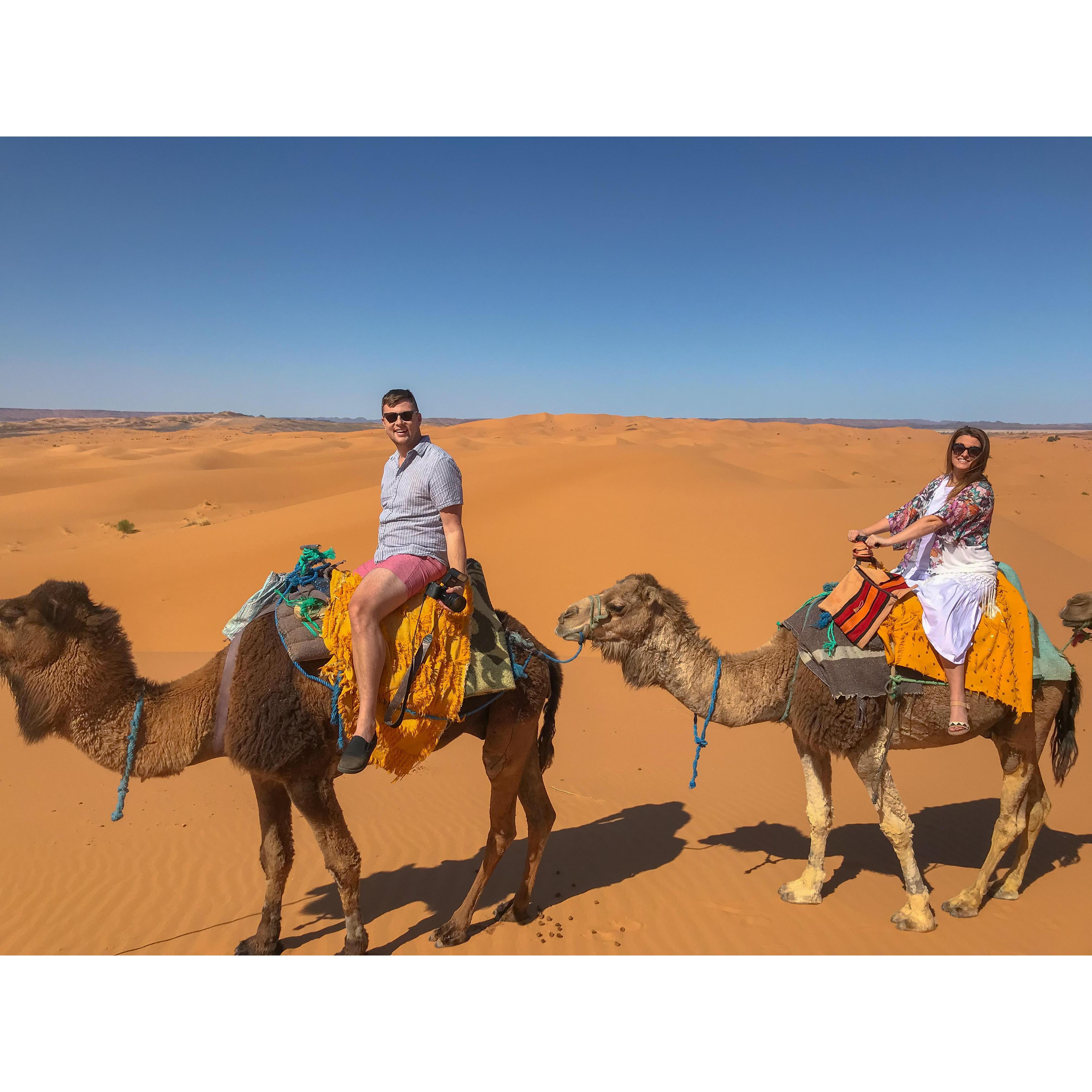 Camel rides in Morocco.