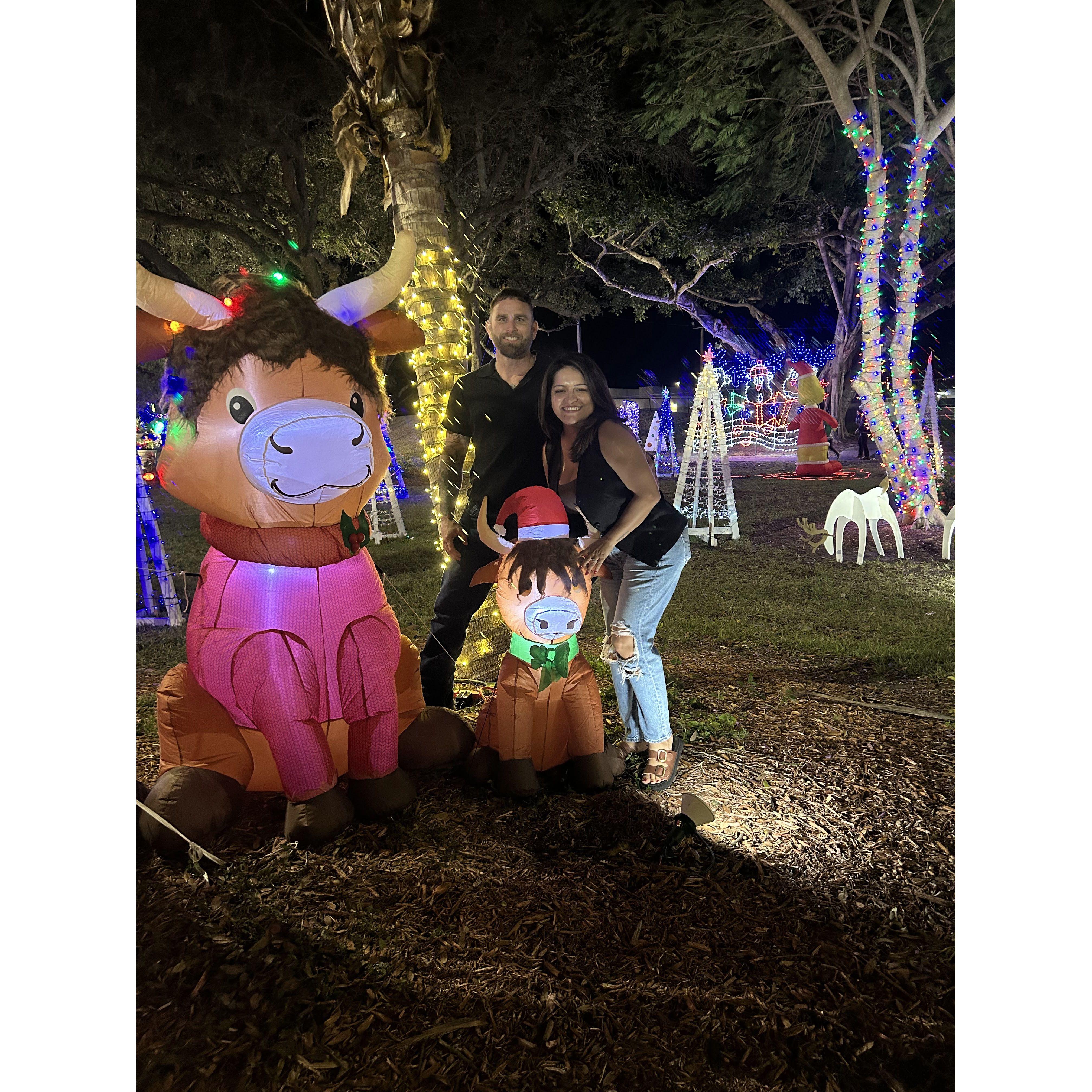 Christmas Lights at the park