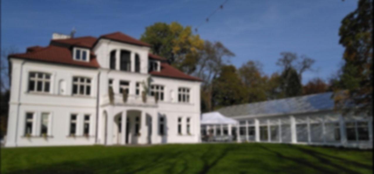 The Wedding Website of Vladimir Savelieff and Angelina Eismant