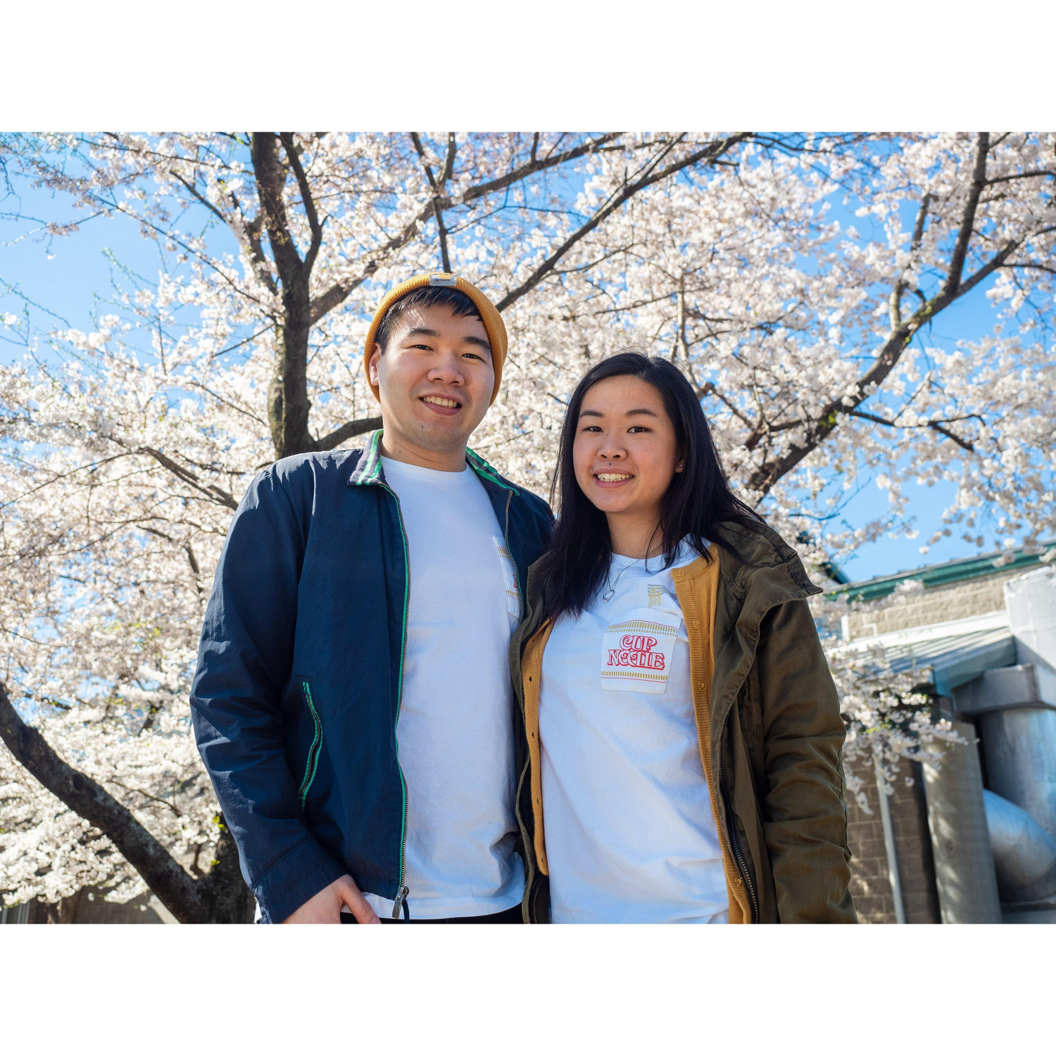 Cherry blossoms a plenty, Nashville in spring.