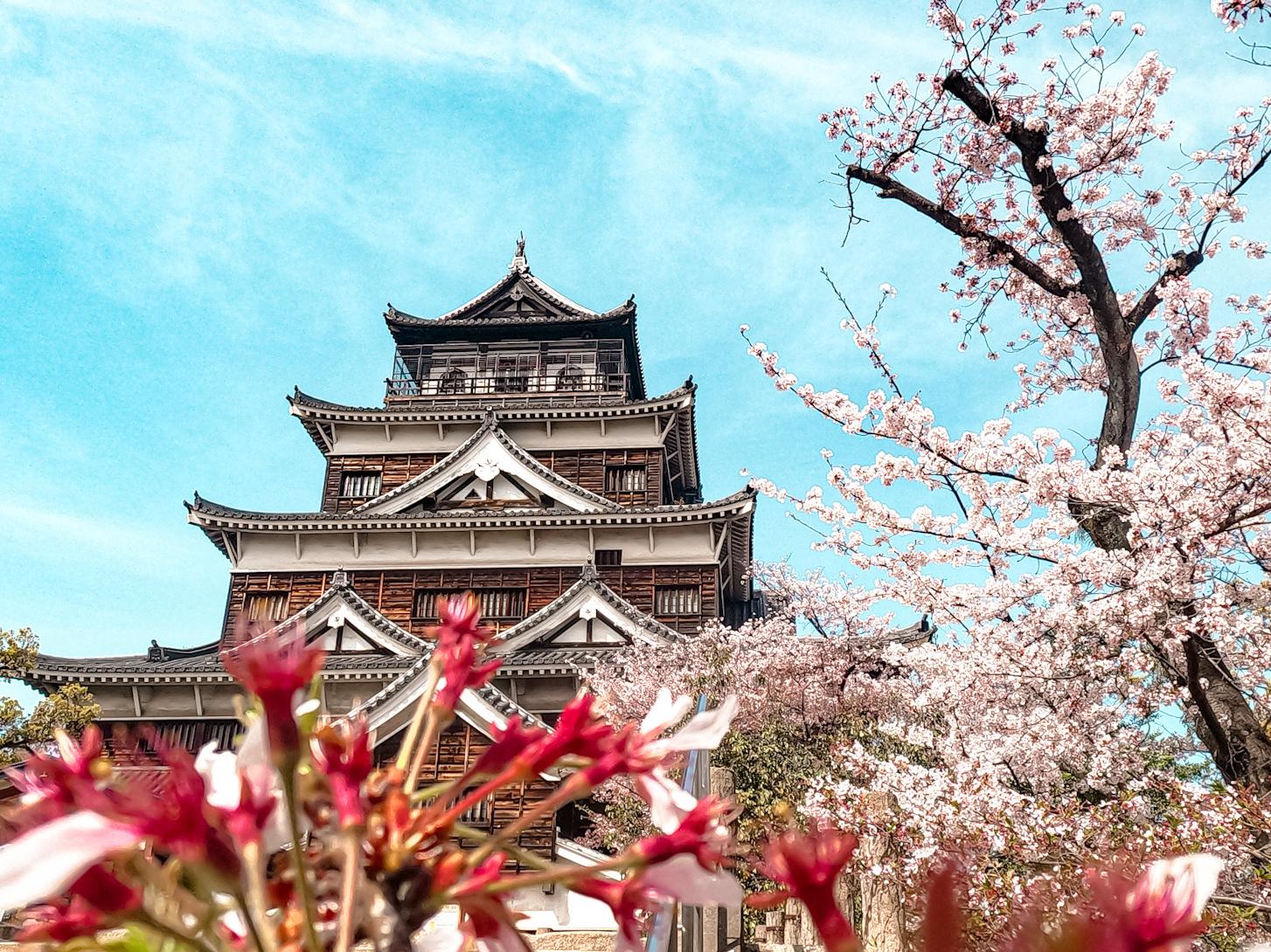 The Wedding Website of Sophia Novak and Elisha Dawson