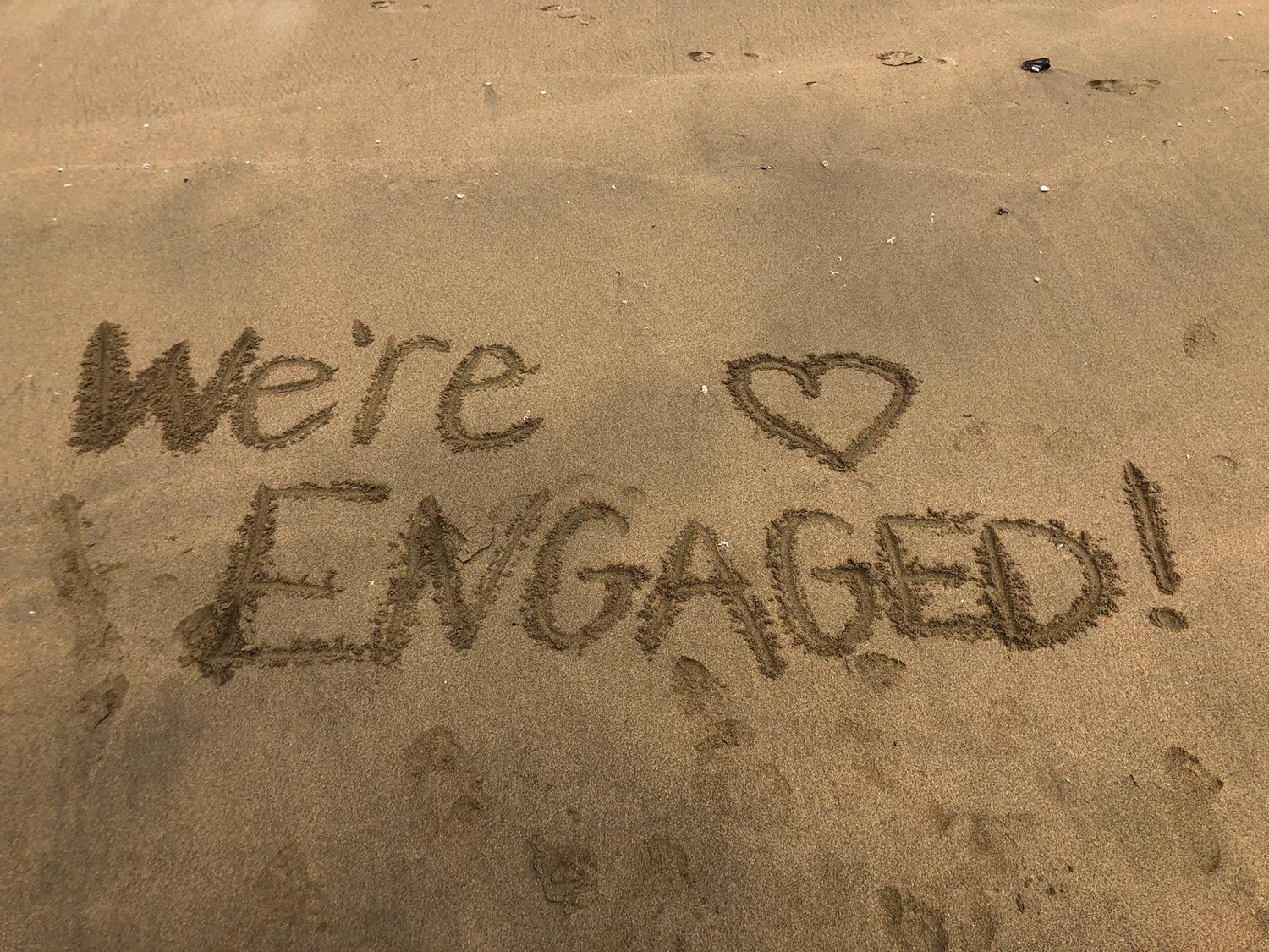 Carved out at Gray Whale Cove Beach after we helped save a sick baby seal.