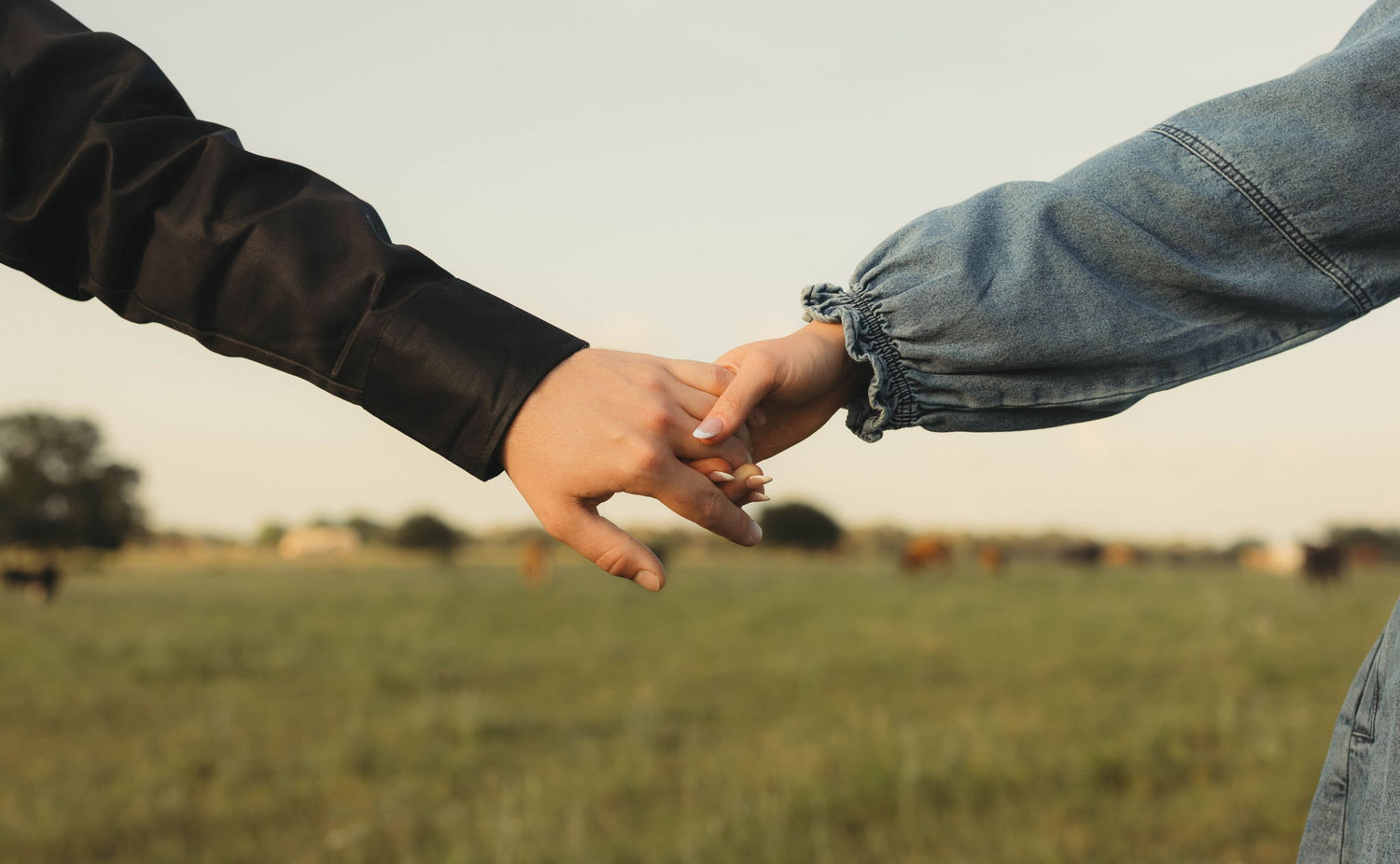 The Wedding Website of Lily Atkinson and Jarod Layton