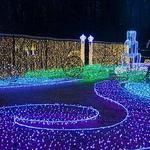 Garvan Gardens- Holiday Light Show