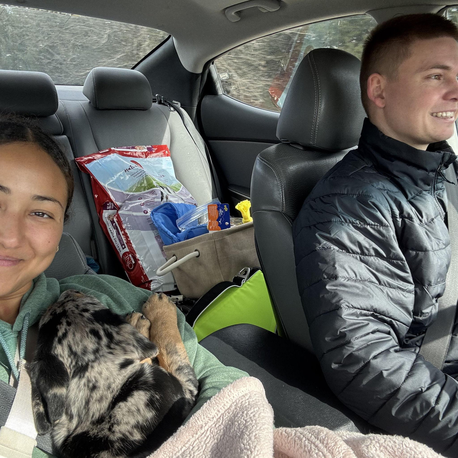 Ryder’s Adoption Day: February 1st, 2025!