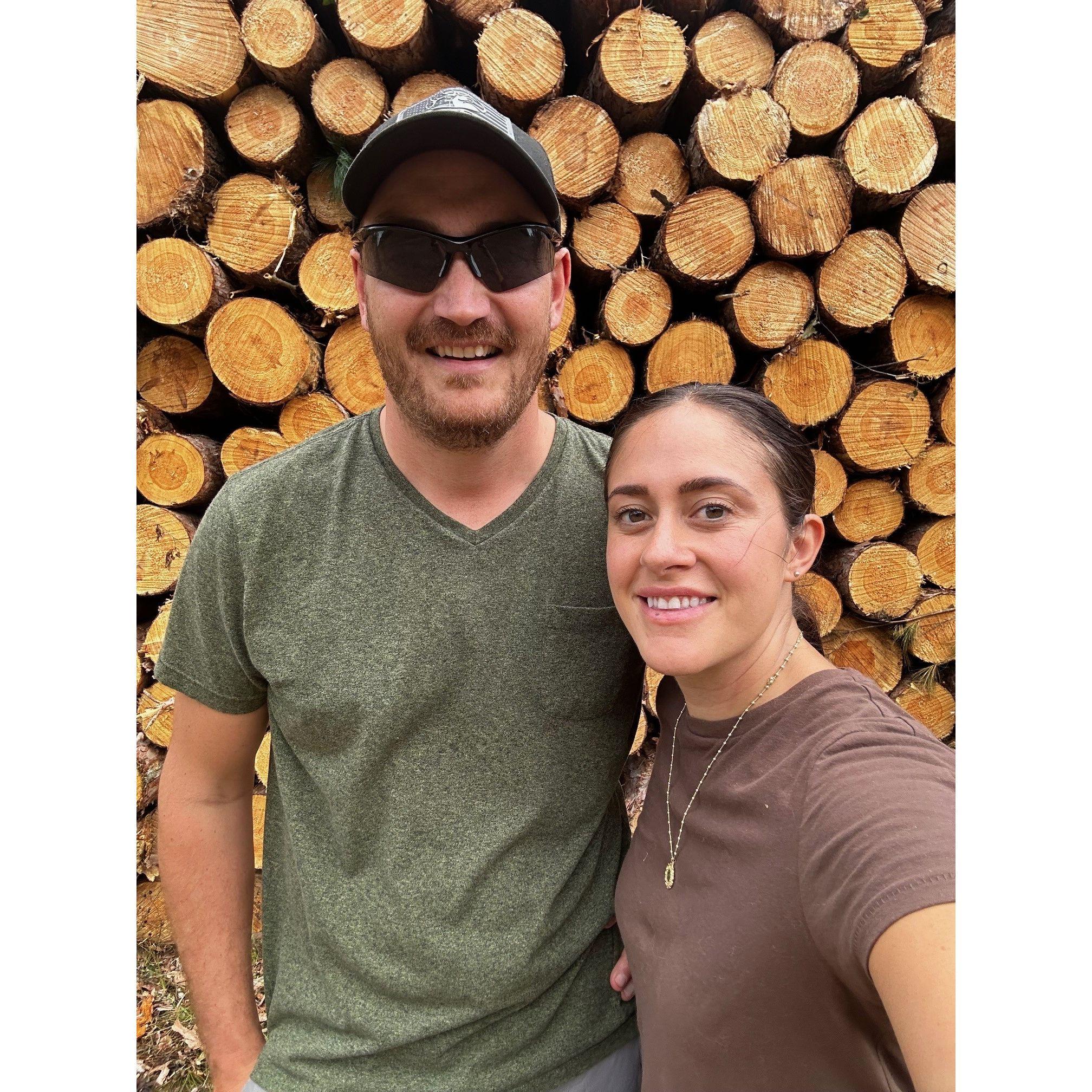 Logging our property 2024