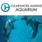 Clearwater Marine Aquarium