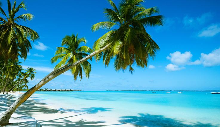 14dca2da-8a60-4e30-8f1c-fe9e235b10ef