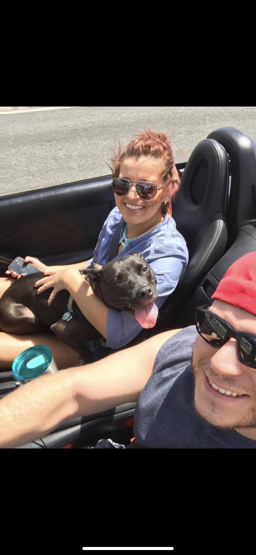 Nala enjoyed this trip to Anna Maria especially with the top down!