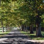 Julia Davis Park