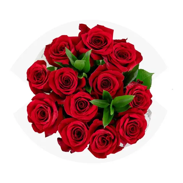 Dozen Fresh Cut Vibrant Red Roses - Good Little Garden™