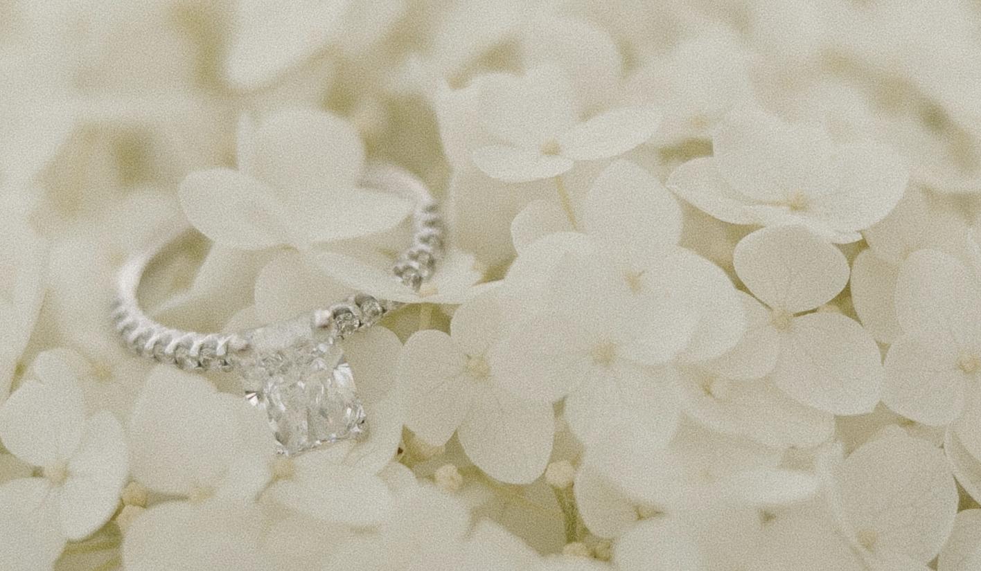 The Wedding Website of Anna Guest and Derek Perrotto