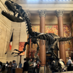 American Museum of Natural History