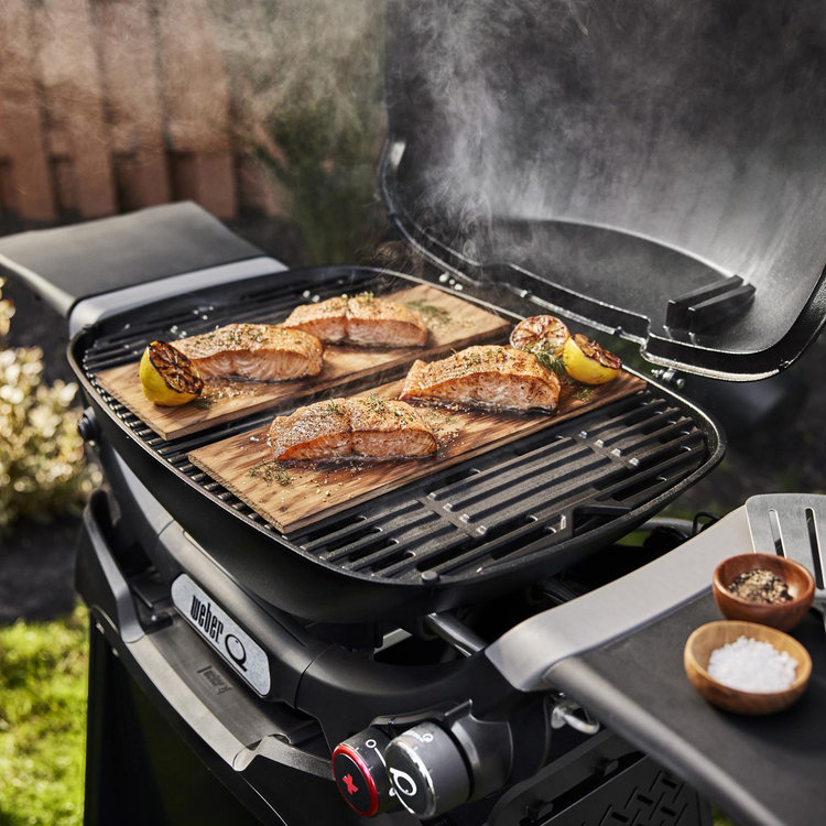 Weber, Q 2800N+ Liquid Propane Gas Grill with Stand | Zola