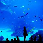 Seattle Aquarium