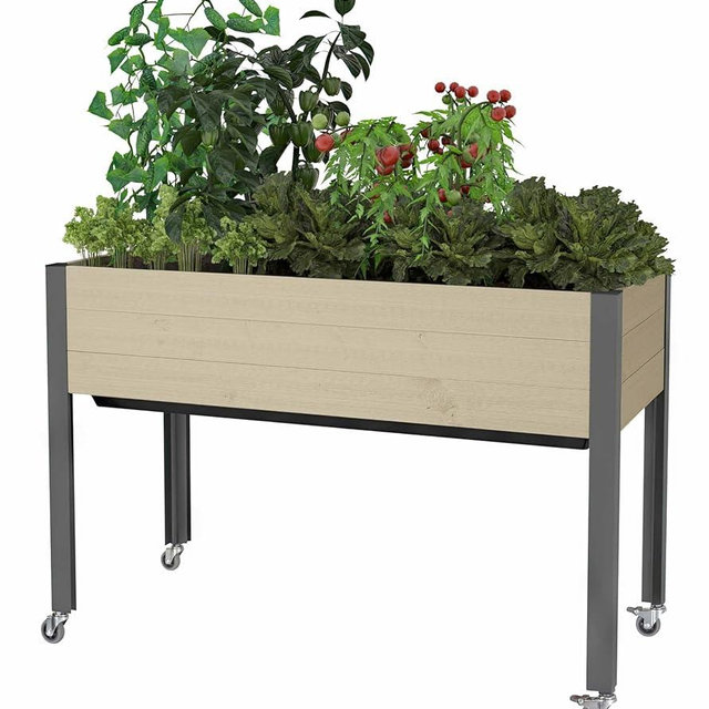 CedarCraft Self-Watering Raised Garden Bed (21" x 47" x 32"H) - Container Gardening with The Convenience of a Self-Watering Irrigation System. Made in Canada.