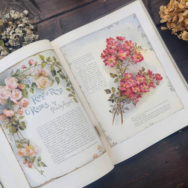 Flower Pictures by Maude Angell - Antique Botanical Book