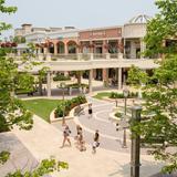 Short Pump Towne Center / Short Pump area