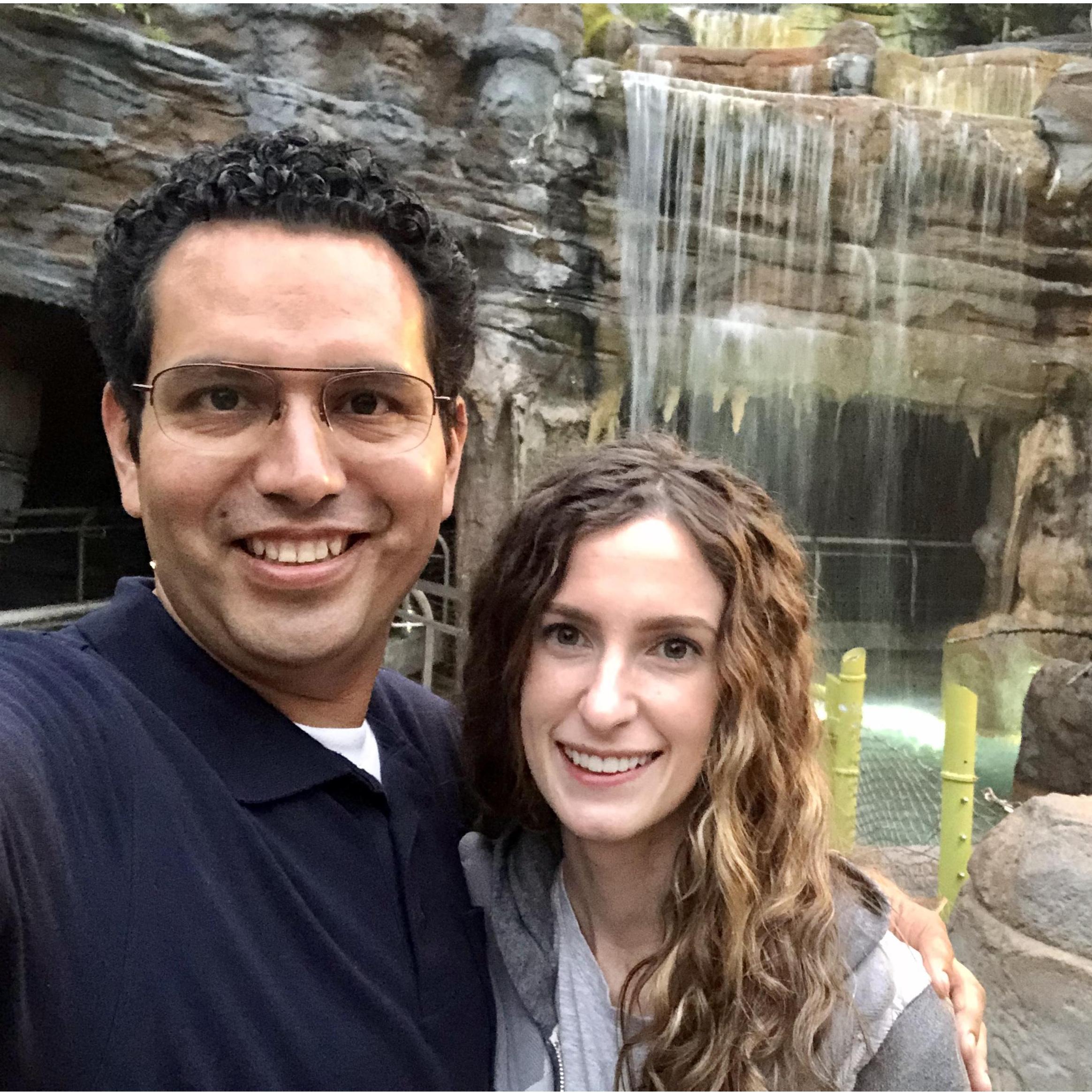 At the San Diego Zoo