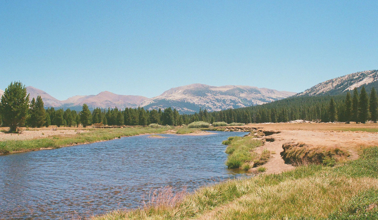 Footer image