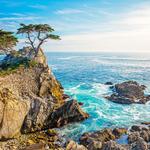 17 Mile Drive Tour