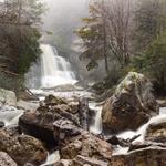 Blackwater Falls State Park