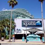 The Florida Aquarium
