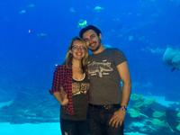 Georgia Aquarium