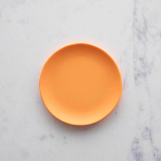 6" Rainbow Melamine Plate