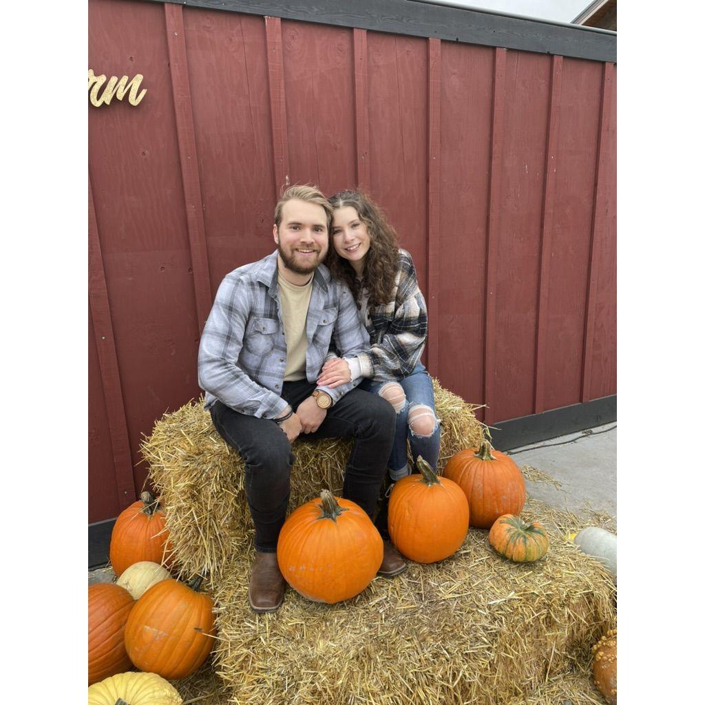 Pumpkin patch 21'