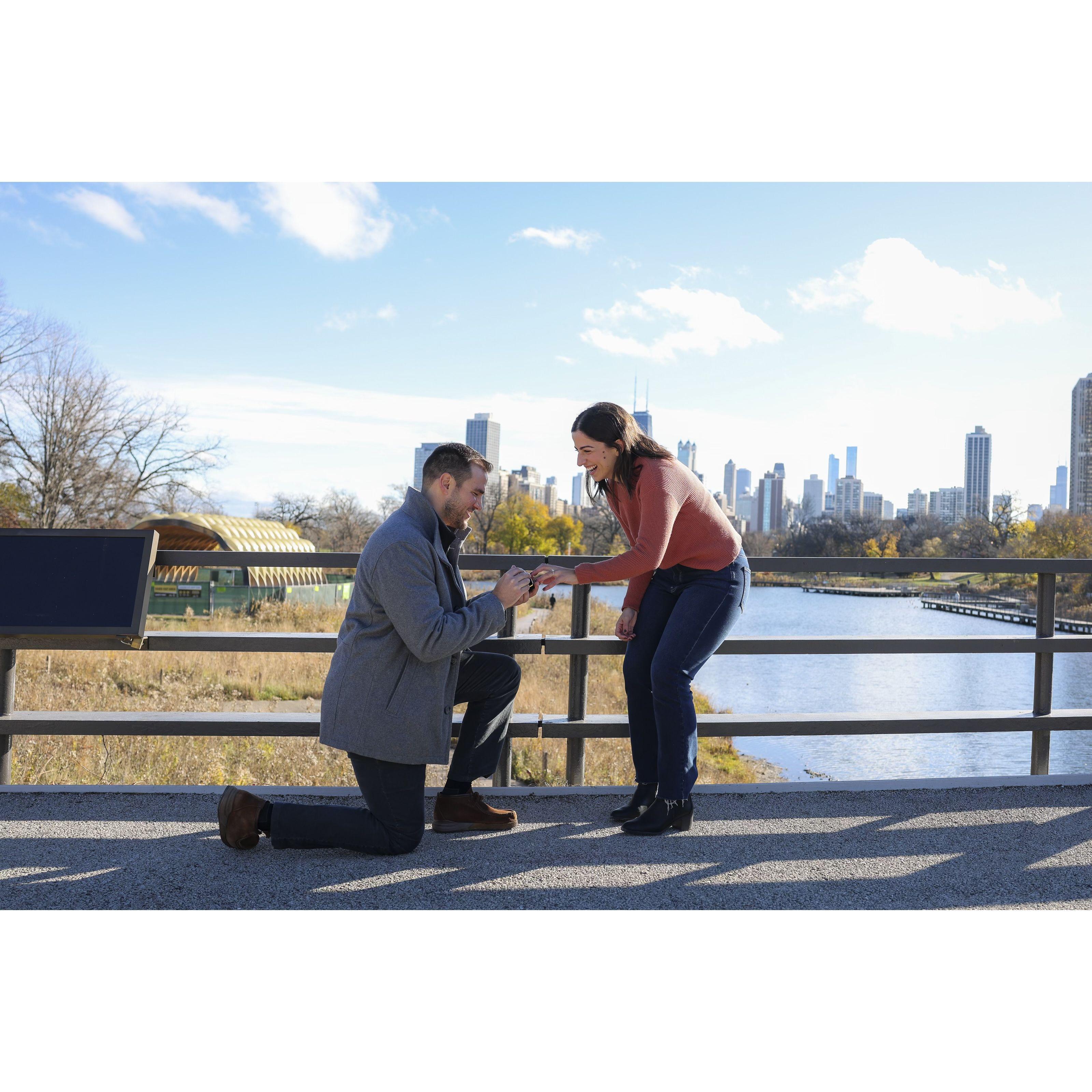 South Pond, Lincoln Park, Chicago