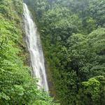 Manoa Falls