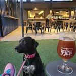 The Community Tap Travelers Rest