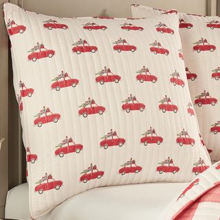 Road Trip Euro Sham, Set of 2