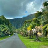 Hoʻomaluhia Botanical Garden