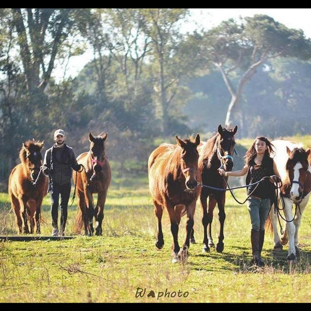 Tuscan Horseback Ride