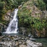El Yunque National Forest